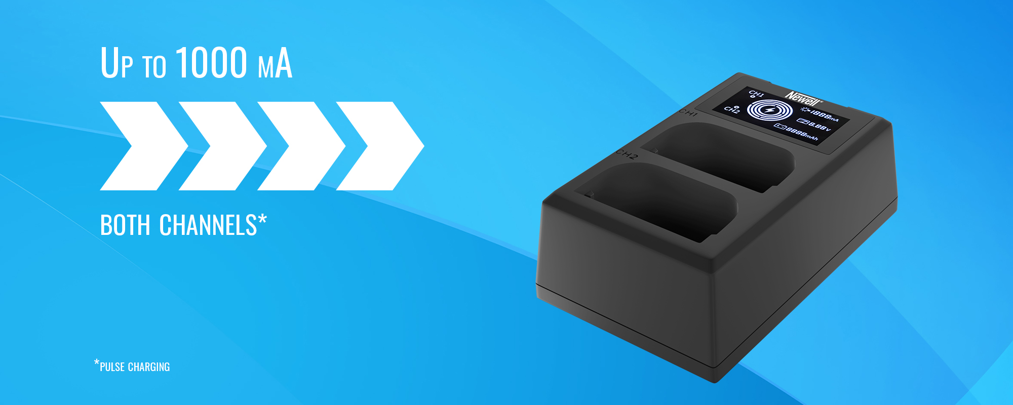 Ładowarka dwukanałowa Newell FDL-USB-C do akumulatorów